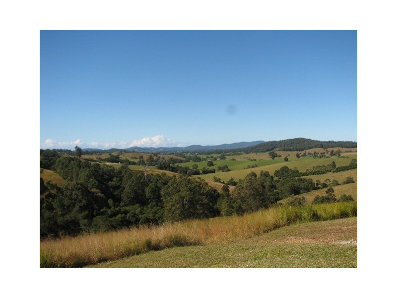 Talarm NSW 2447