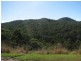 Talarm NSW 2447