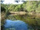 Talarm NSW 2447