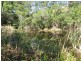 Talarm NSW 2447