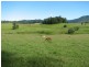624 Boat Harbour Rd, Yarranbella NSW 2447
