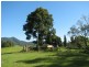 624 Boat Harbour Rd, Yarranbella NSW 2447