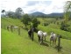 521 Greenhils Rd, Taylors Arm NSW 2447