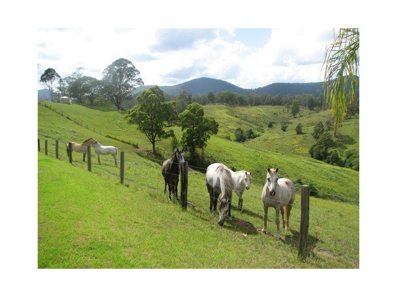 521 Greenhils Rd, Taylors Arm NSW 2447