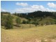 521 Greenhils Rd, Taylors Arm NSW 2447