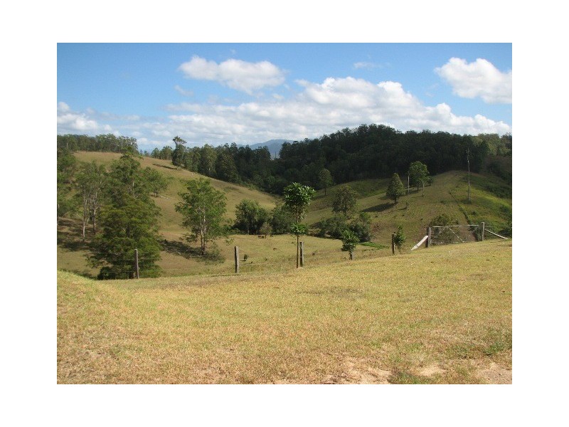 521 Greenhils Rd, Taylors Arm NSW 2447