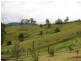 521 Greenhils Rd, Taylors Arm NSW 2447