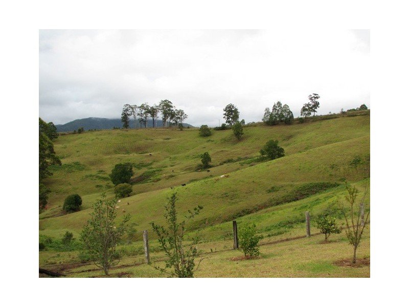 521 Greenhils Rd, Taylors Arm NSW 2447