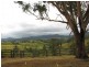 521 Greenhils Rd, Taylors Arm NSW 2447