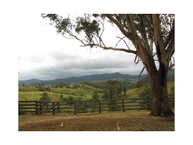521 Greenhils Rd, Taylors Arm NSW 2447