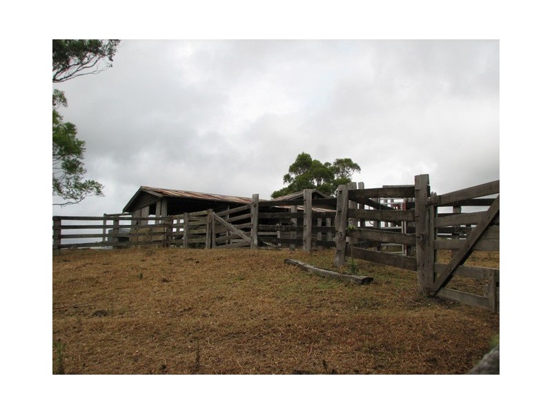 521 Greenhils Rd, Taylors Arm NSW 2447
