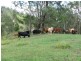 Lot 3 Greenhills Rd, Taylors Arm NSW 2447