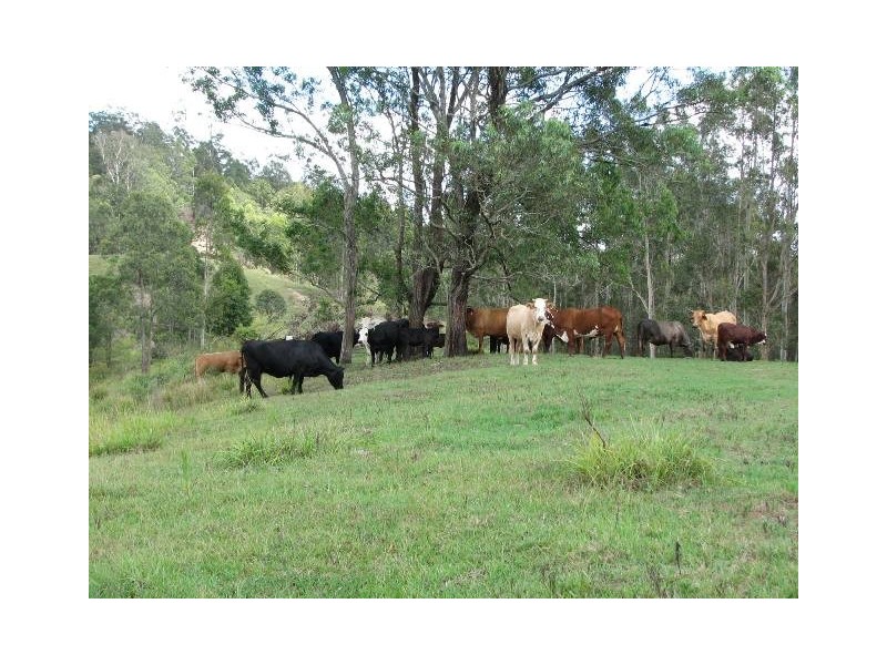 Lot 3 Greenhills Rd, Taylors Arm NSW 2447