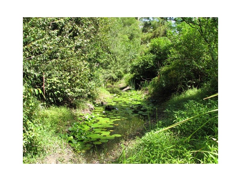 Lot 3 Greenhills Rd, Taylors Arm NSW 2447