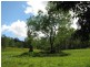 Lot 3 Greenhills Rd, Taylors Arm NSW 2447