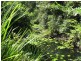Lot 3 Greenhills Rd, Taylors Arm NSW 2447