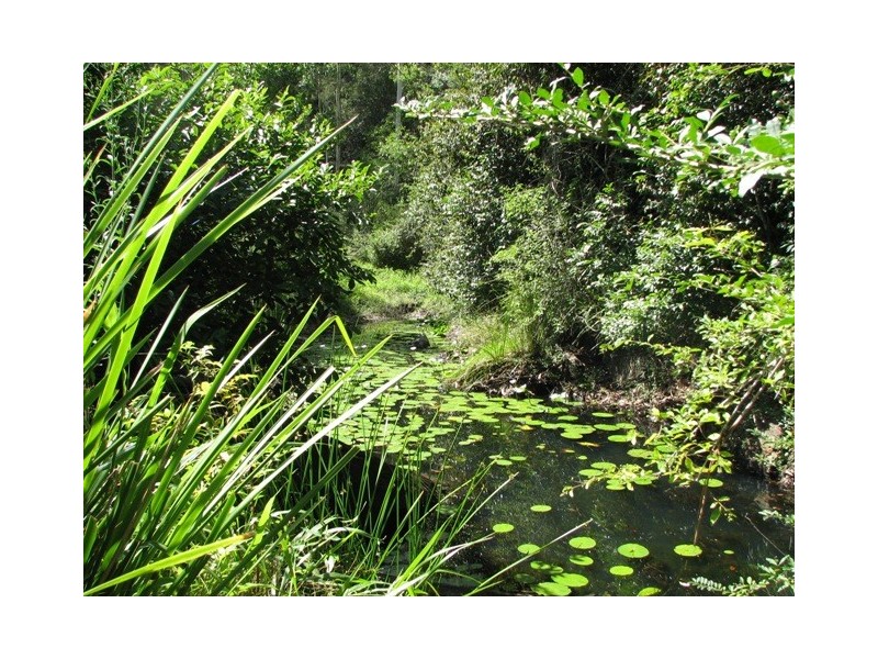 Lot 3 Greenhills Rd, Taylors Arm NSW 2447