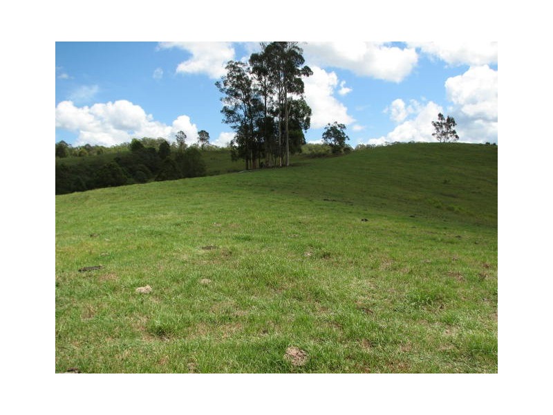 Lot 4 Bakers Creek Rd, Taylors Arm NSW 2447