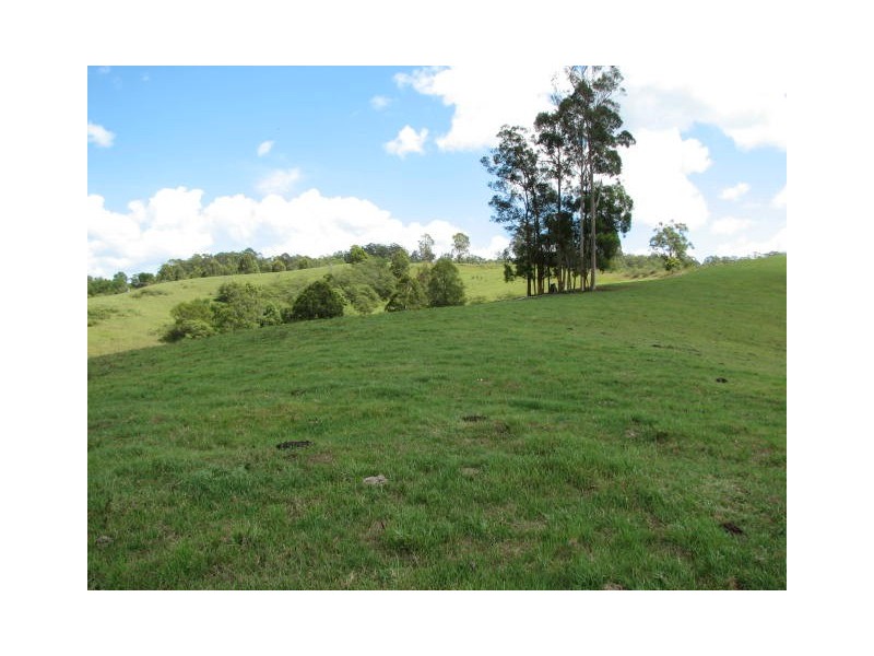Lot 4 Bakers Creek Rd, Taylors Arm NSW 2447