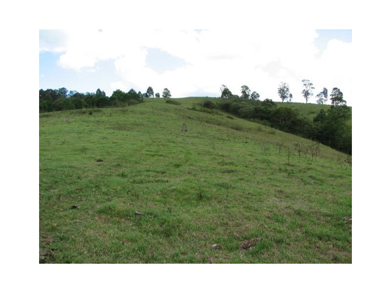 Lot 2 Bakers Creek Rd, Taylors Arm NSW 2447