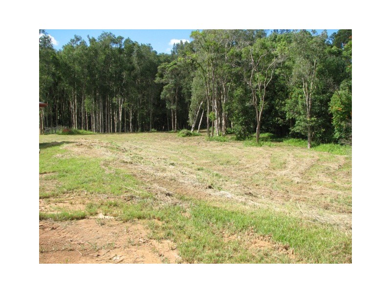 Lot 256 Park Street, Macksville NSW 2447