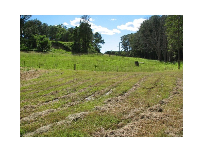 Lot 256 Park Street, Macksville NSW 2447