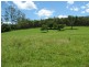 1160 South Arm Road, South Arm NSW 2449
