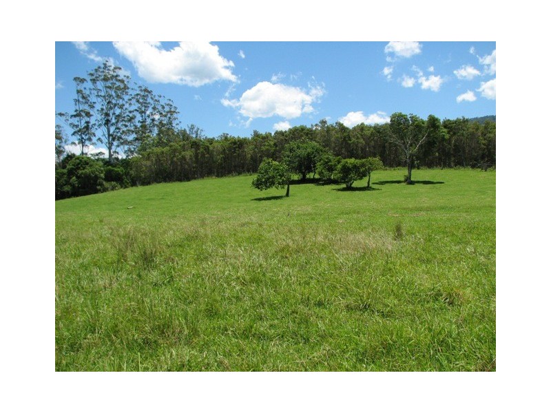 1160 South Arm Road, South Arm NSW 2449