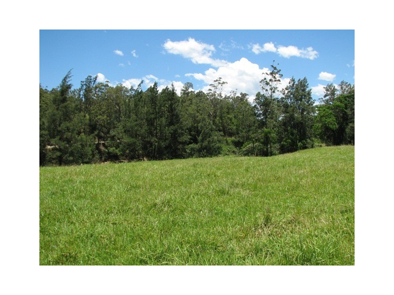 1160 South Arm Road, South Arm NSW 2449