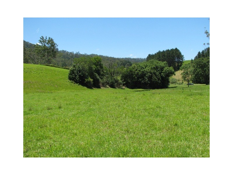 1160 South Arm Road, South Arm NSW 2449