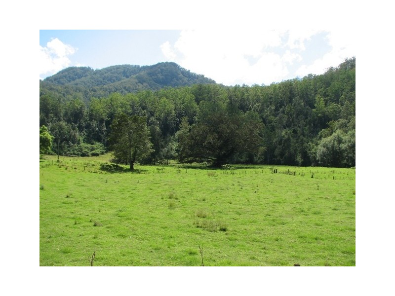 5254 Taylors Arm Rd, Thumb Creek, Macksville NSW 2447