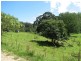 5254 Taylors Arm Rd, Thumb Creek, Macksville NSW 2447