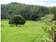 5254 Taylors Arm Rd, Thumb Creek, Macksville NSW 2447