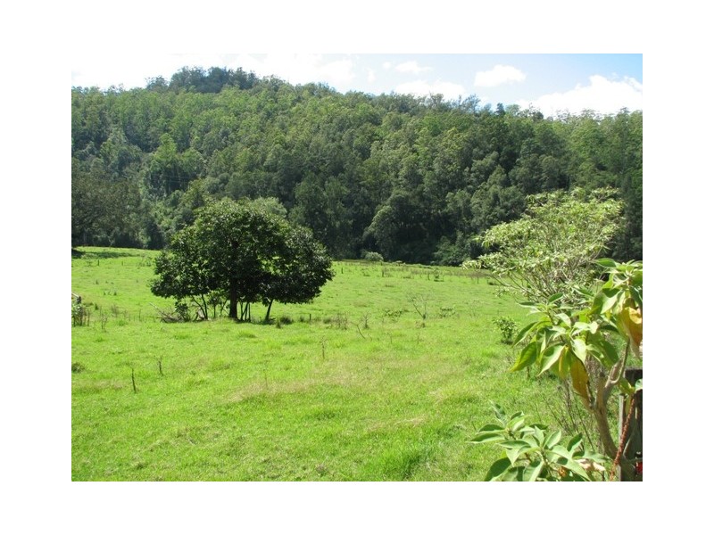 5254 Taylors Arm Rd, Thumb Creek, Macksville NSW 2447