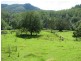 5254 Taylors Arm Rd, Thumb Creek, Macksville NSW 2447