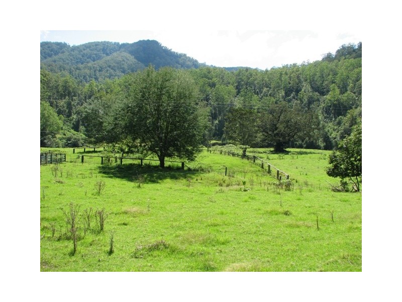 5254 Taylors Arm Rd, Thumb Creek, Macksville NSW 2447