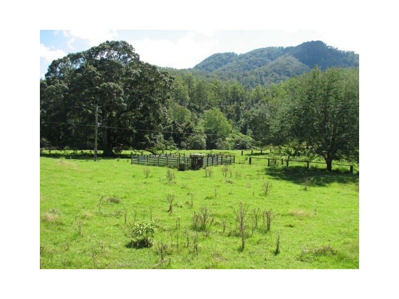 5254 Taylors Arm Rd, Thumb Creek, Macksville NSW 2447