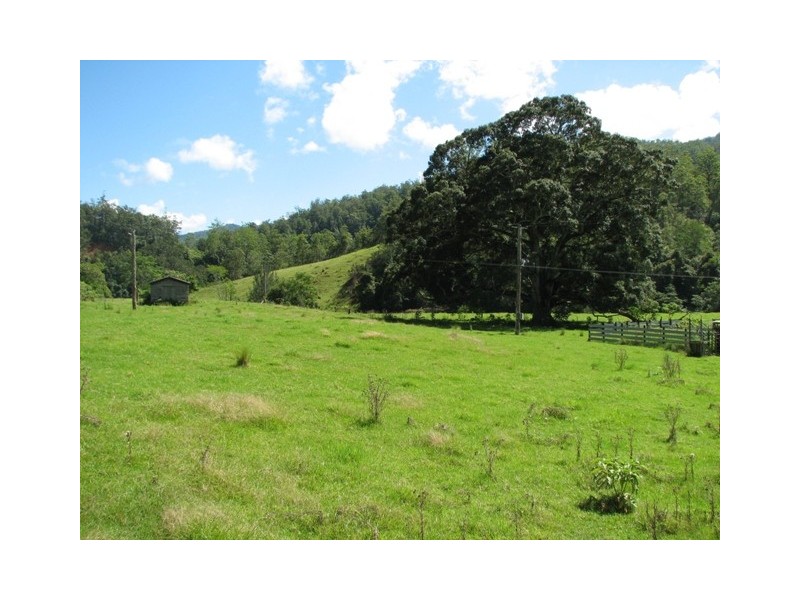 5254 Taylors Arm Rd, Thumb Creek, Macksville NSW 2447