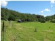 5254 Taylors Arm Rd, Thumb Creek, Macksville NSW 2447