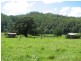 5254 Taylors Arm Rd, Thumb Creek, Macksville NSW 2447