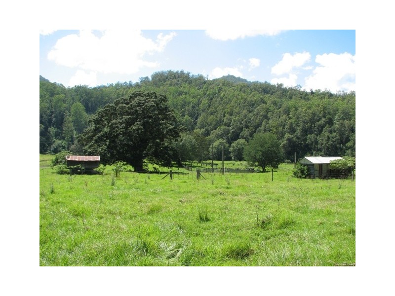 5254 Taylors Arm Rd, Thumb Creek, Macksville NSW 2447