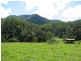 5254 Taylors Arm Rd, Thumb Creek, Macksville NSW 2447