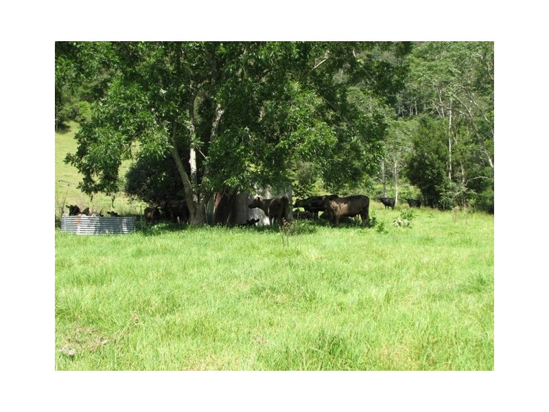 5254 Taylors Arm Rd, Thumb Creek, Macksville NSW 2447