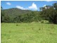 5254 Taylors Arm Rd, Thumb Creek, Macksville NSW 2447