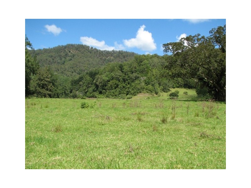 5254 Taylors Arm Rd, Thumb Creek, Macksville NSW 2447