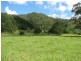 5254 Taylors Arm Rd, Thumb Creek, Macksville NSW 2447