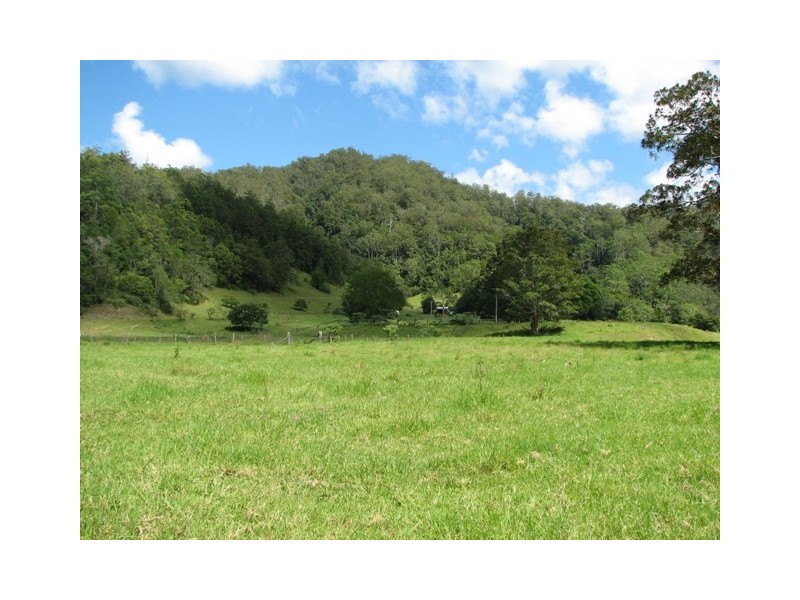 5254 Taylors Arm Rd, Thumb Creek, Macksville NSW 2447