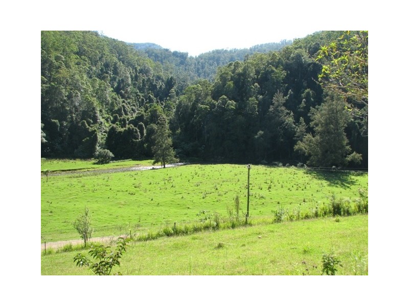 5155 Taylors Arm Rd, Thumb Creek NSW 2447