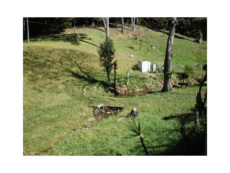 Thumb Creek NSW 2447