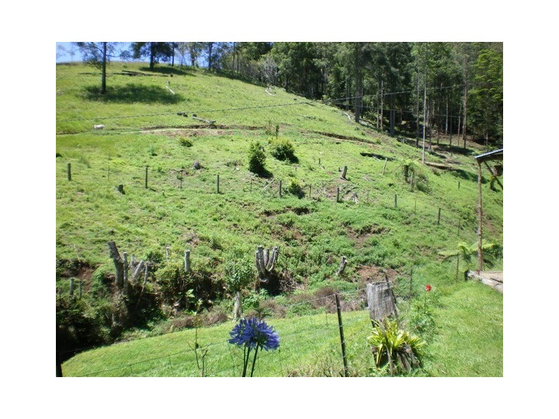 Thumb Creek NSW 2447